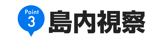 Point3 島内視察